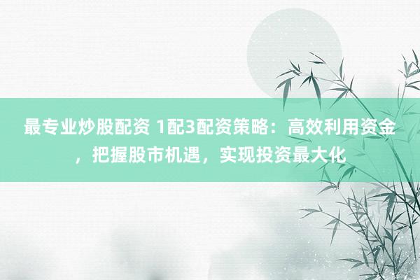 最专业炒股配资 1配3配资策略：高效利用资金，把握股市机遇，实现投资最大化