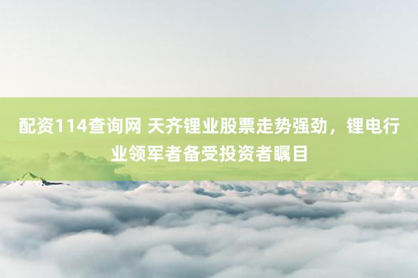 配资114查询网 天齐锂业股票走势强劲，锂电行业领军者备受投资者瞩目