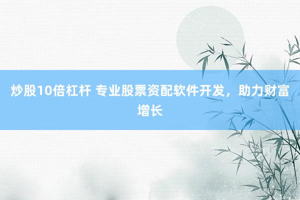 炒股10倍杠杆 专业股票资配软件开发，助力财富增长