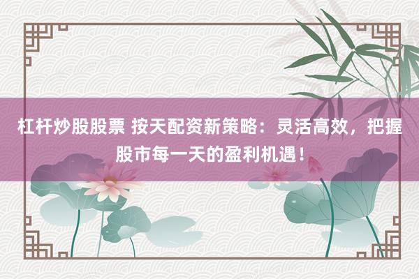 杠杆炒股股票 按天配资新策略：灵活高效，把握股市每一天的盈利机遇！