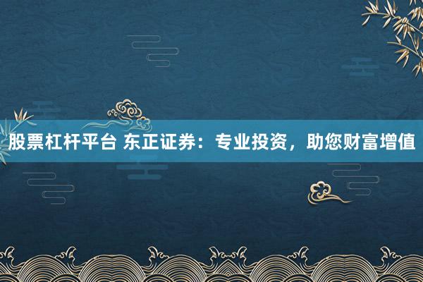 股票杠杆平台 东正证券：专业投资，助您财富增值