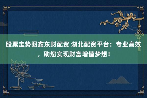 股票走势图鑫东财配资 湖北配资平台：专业高效，助您实现财富增值梦想！