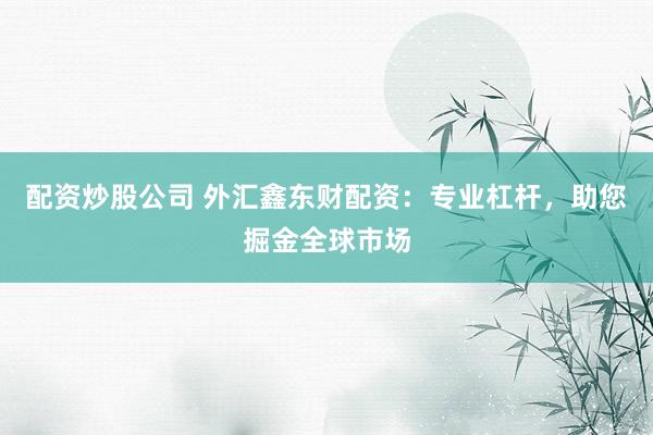 配资炒股公司 外汇鑫东财配资:专业杠杆,助您掘金全球市场
