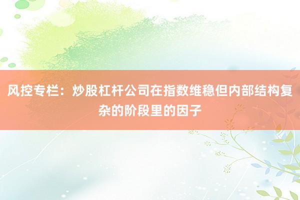 风控专栏：炒股杠杆公司在指数维稳但内部结构复杂的阶段里的因子