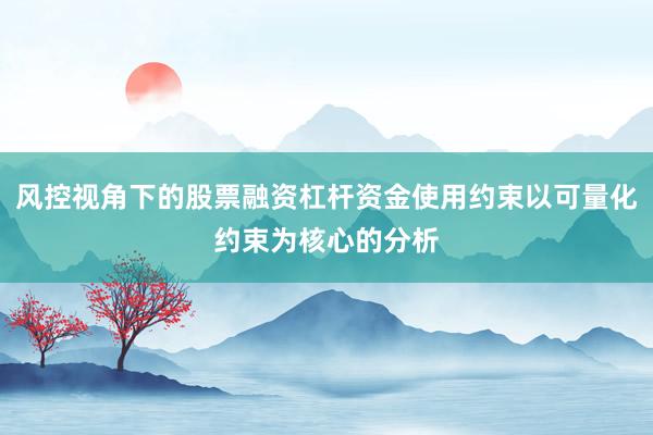 风控视角下的股票融资杠杆资金使用约束以可量化约束为核心的分析