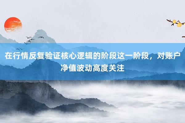 在行情反复验证核心逻辑的阶段这一阶段，对账户净值波动高度关注