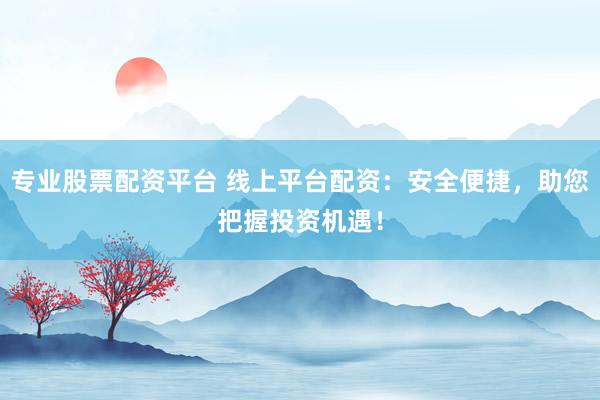 专业股票配资平台 线上平台配资：安全便捷，助您把握投资机遇！